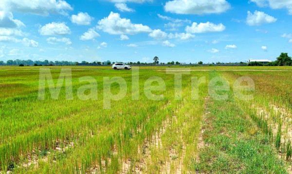 LAND FOR SALE AT PRASAT BAKONG SIEM REAP CAMBODIA